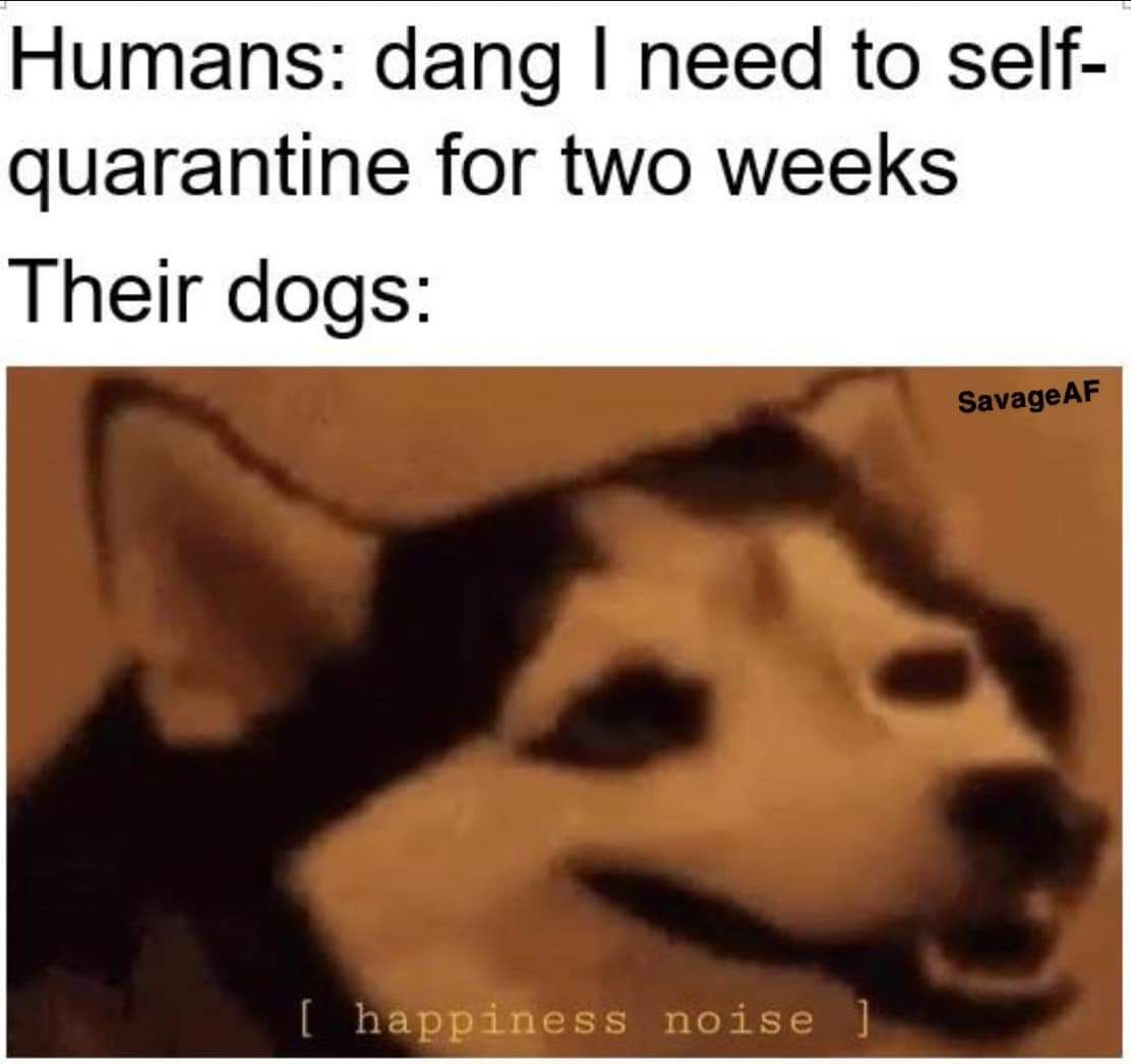 Something good