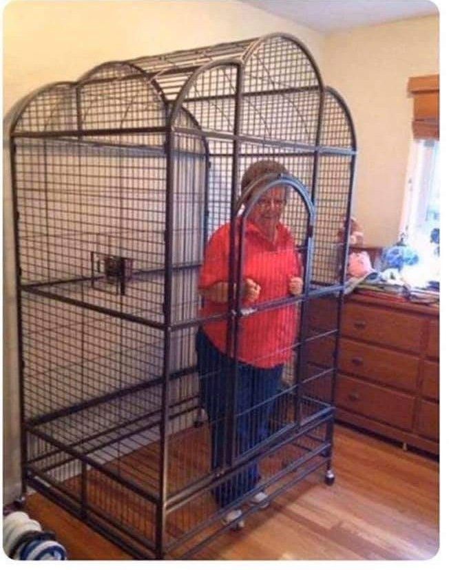 Remember to lock up your grandparents so they don't catch coronavirus