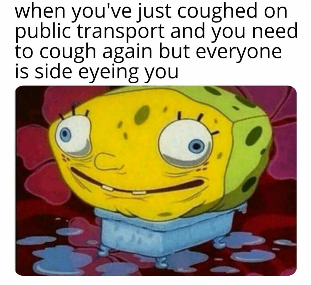 Welp