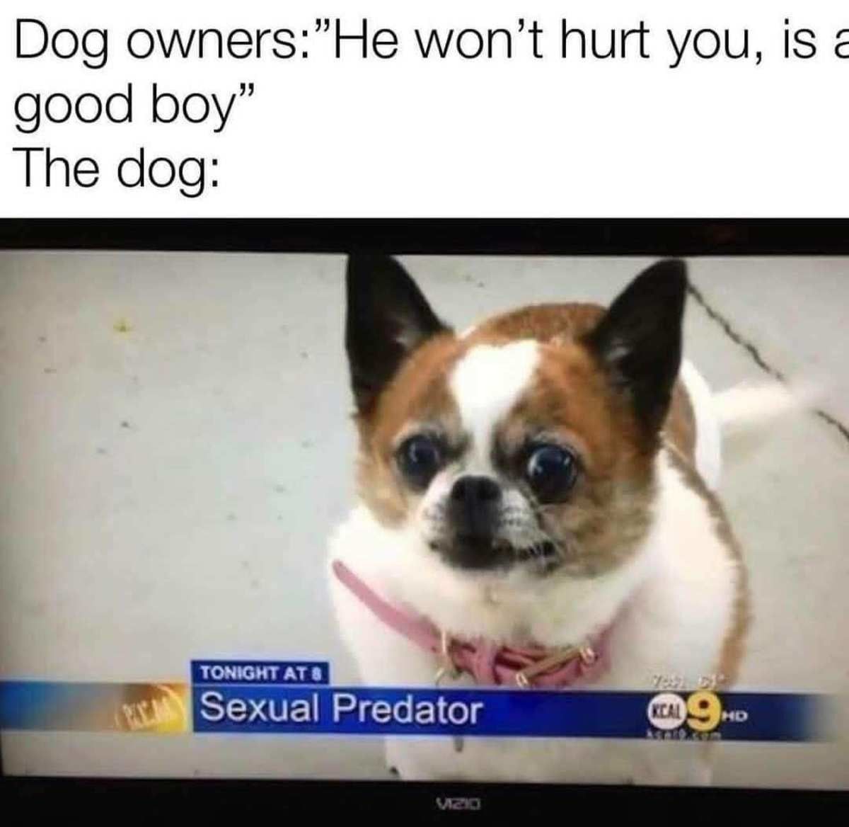 If he doesn't bite then how does he eat?