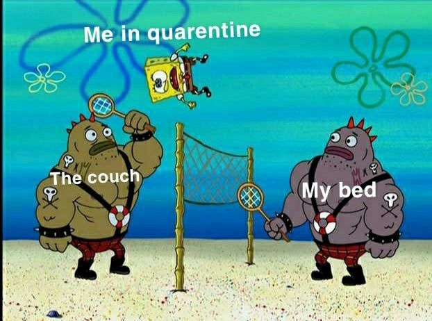facts
