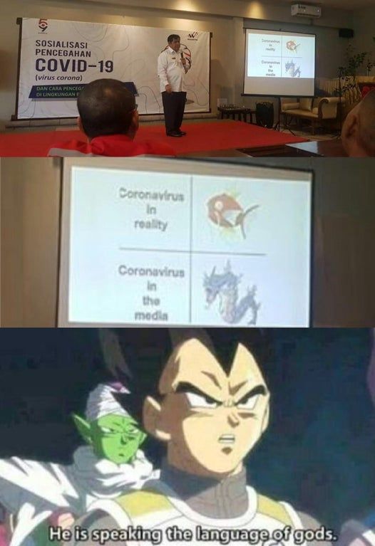facts