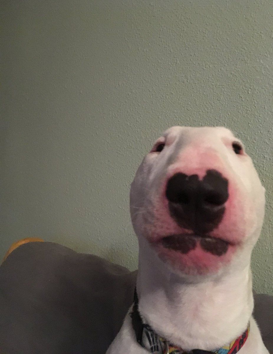 We can all agree this is our god and deserves all the toilet paper