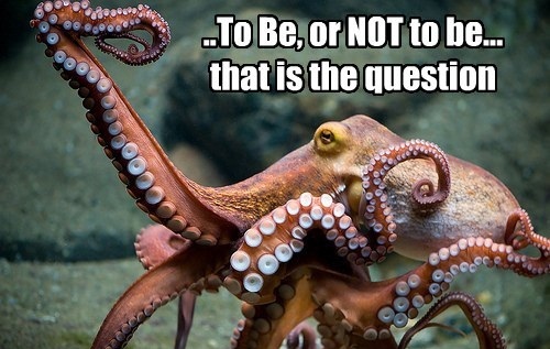 Poet Octopus