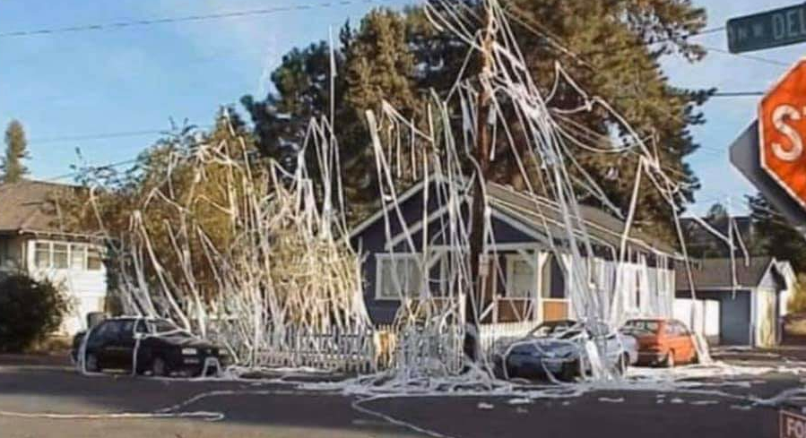Neighbors house got TP'd last night and now it's listed on Zillow for $12.5 million.