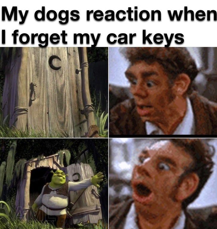 pog