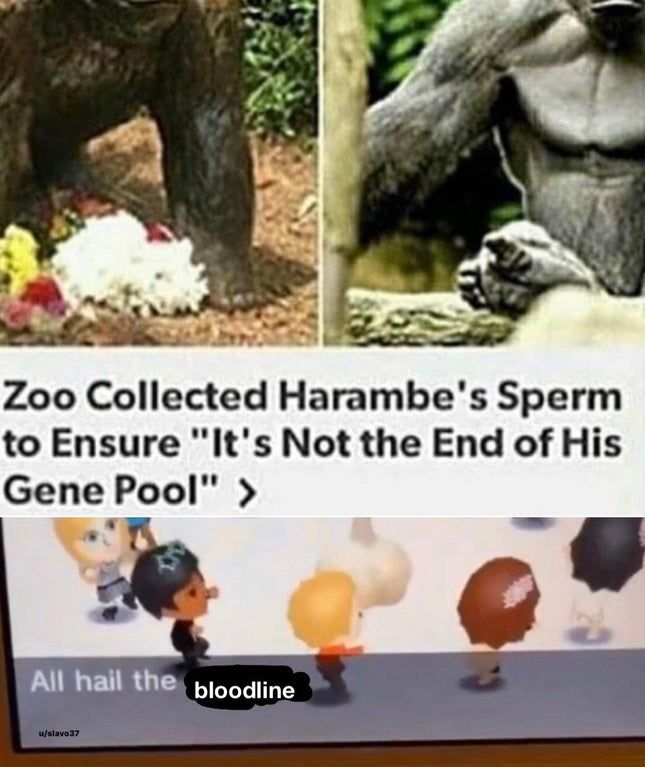 all hail