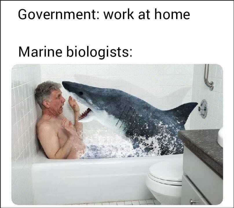 fun