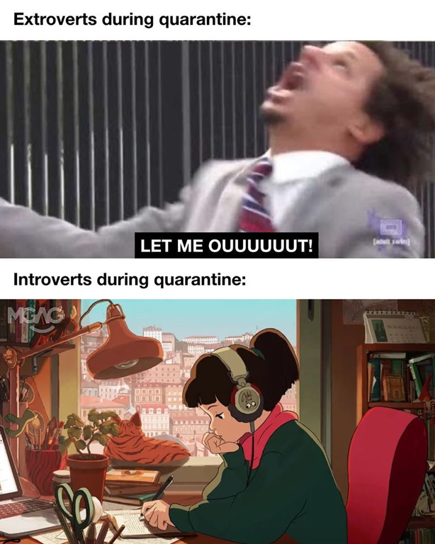 DOOM and Animal Crossing