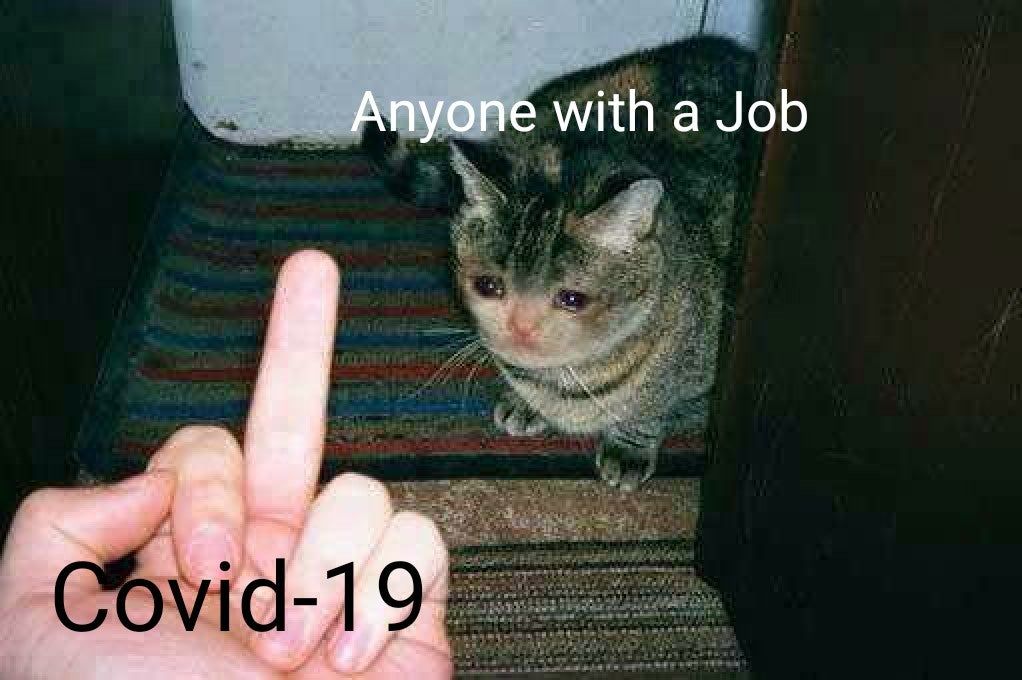 wish me luck bois