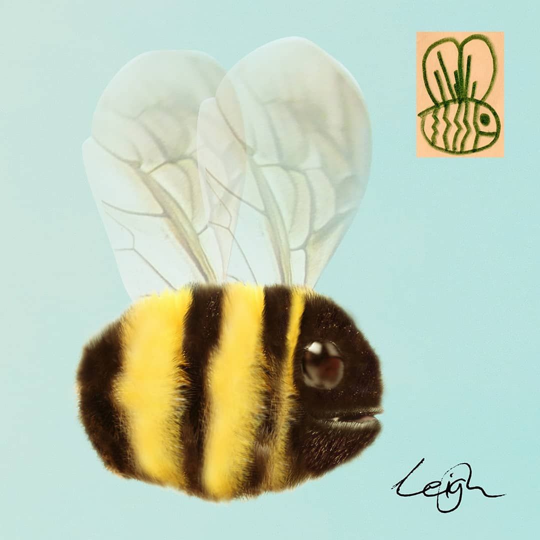 After the crazy reaction to the drawing of the dog. Here is a bee
