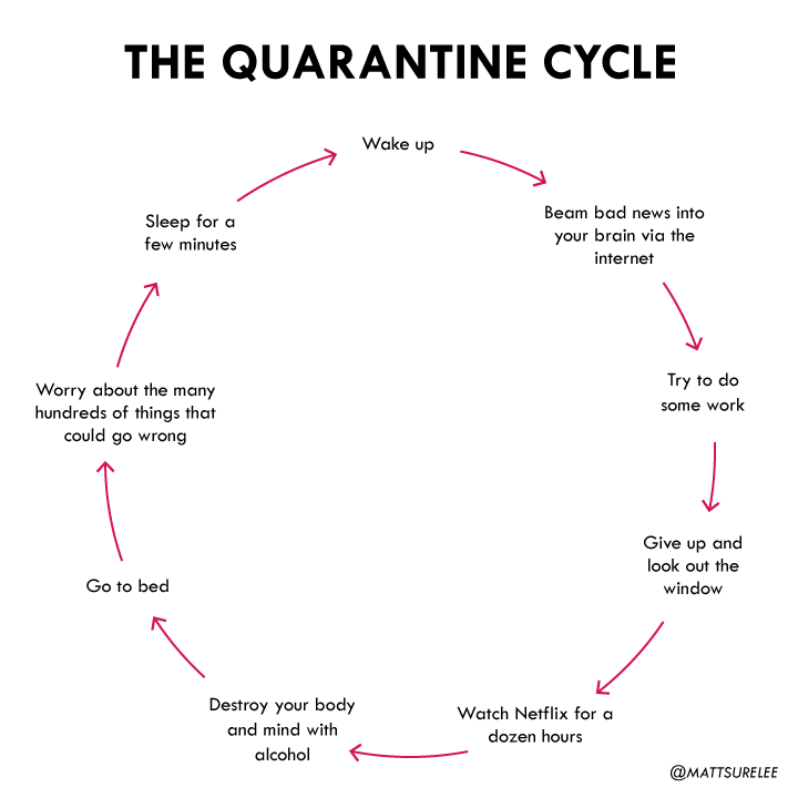 Quarantine cycle