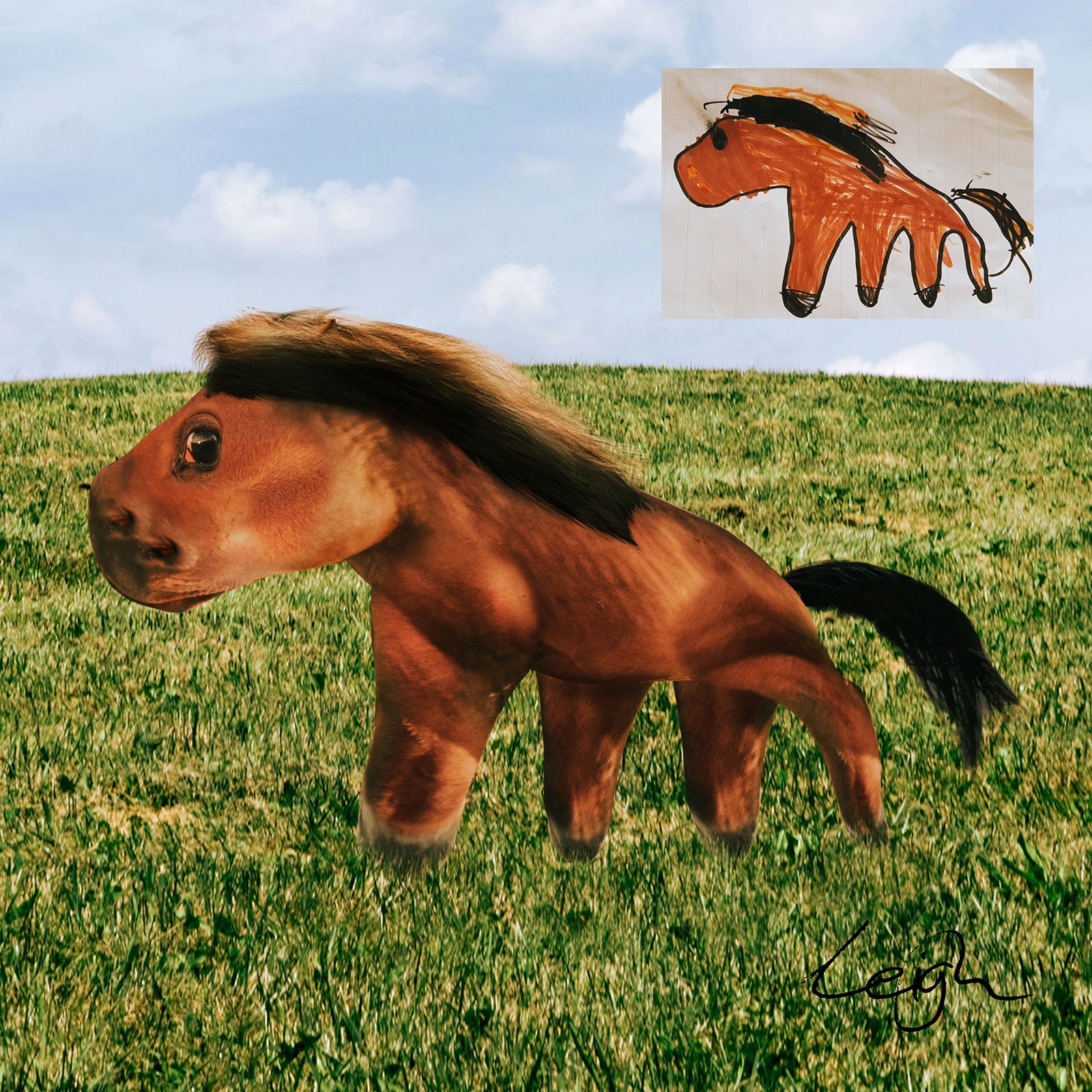 Photoshopped My daughter's Horse