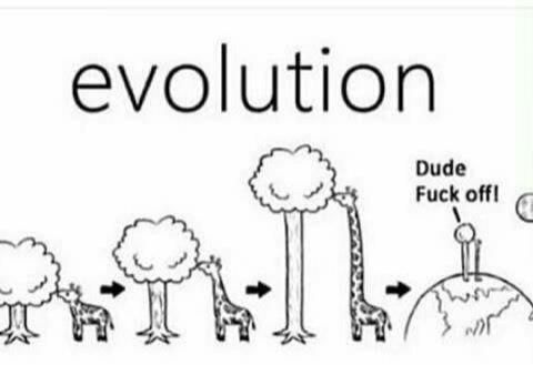 Evolution summarized