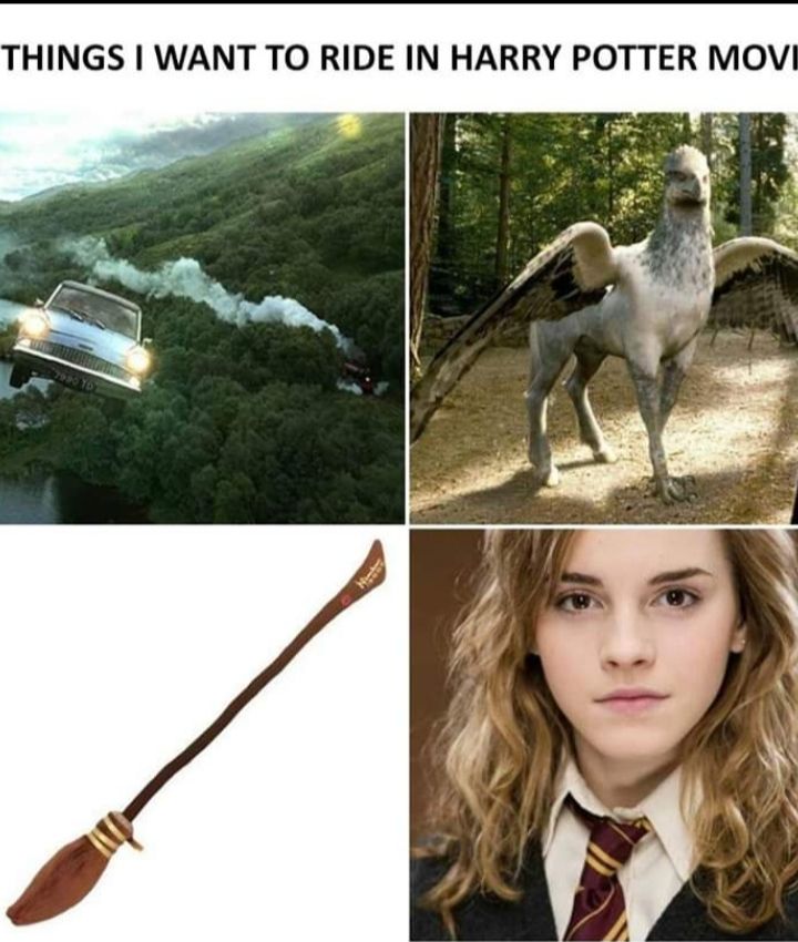 Things I want to ride in Harry potter movie