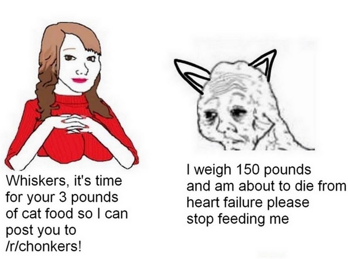 HAHA CHONK HAHAHA *** MOMENT