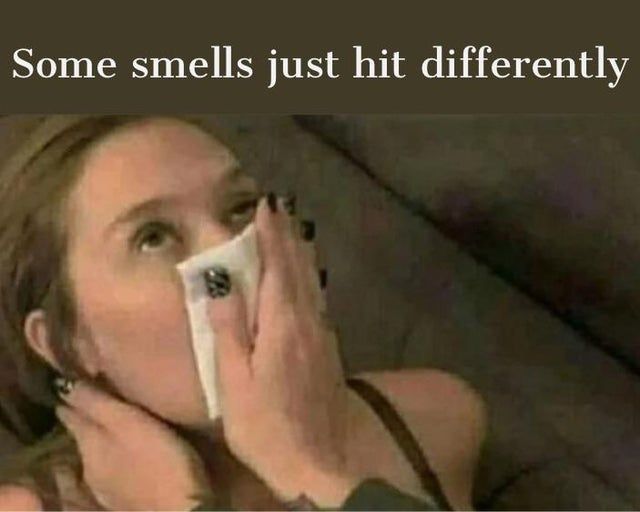 *sniff sniff*