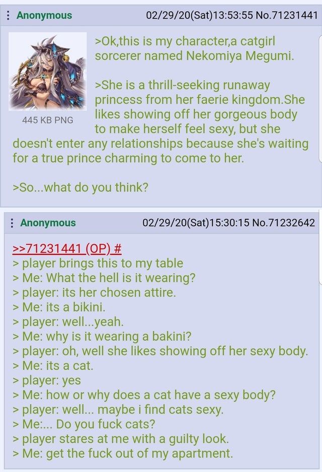 Anon the catgirl