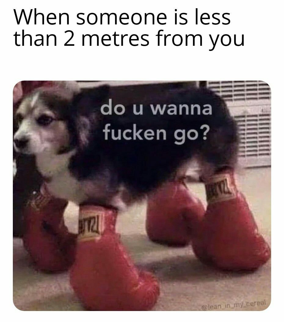 Oi mate