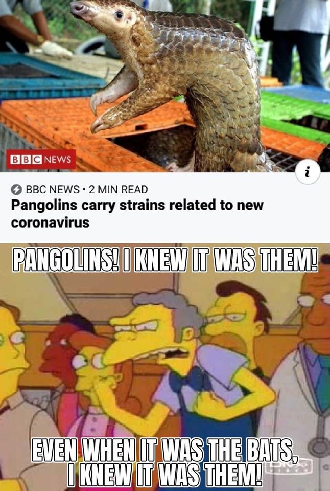 of course!
