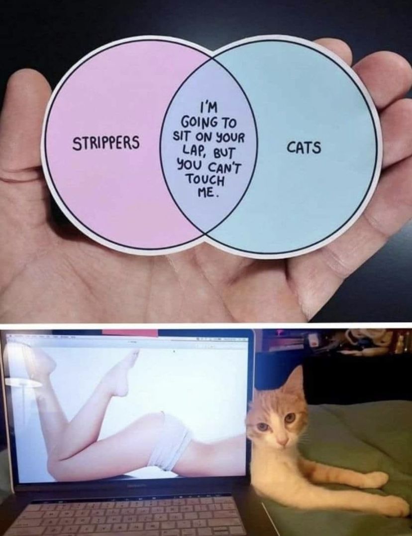 Either way—it’s pussy