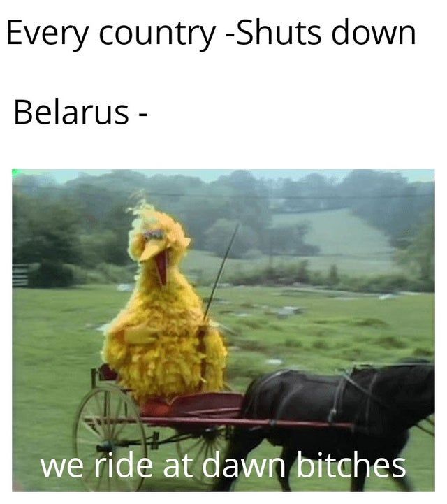 mad lads