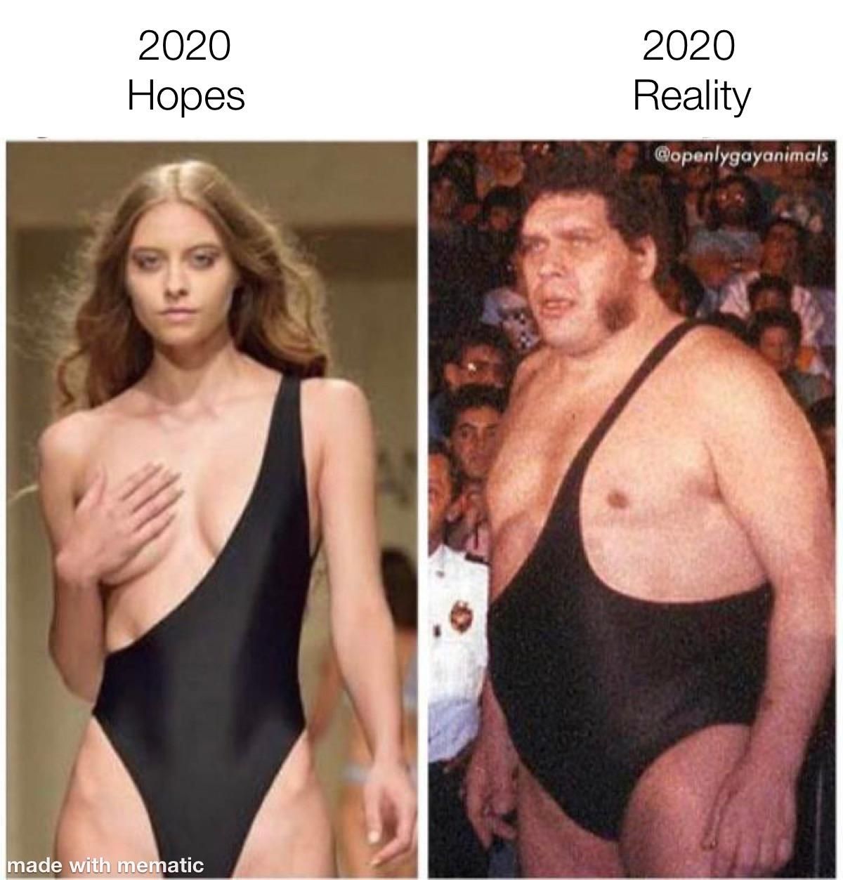 2020 hopes vs reality.