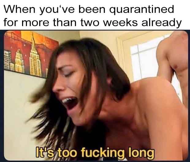 at least it gives me the time to conquer Calradia again