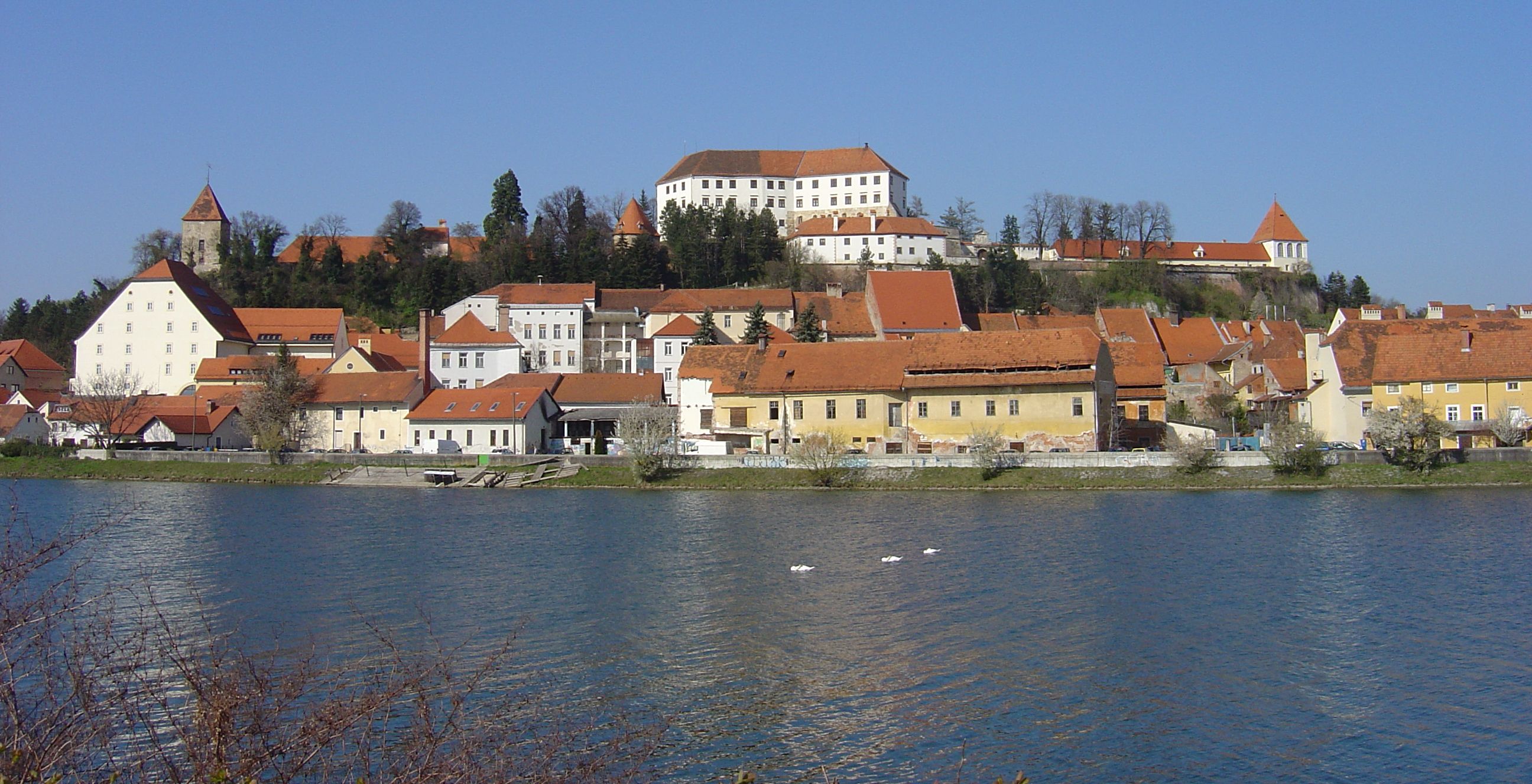 Ptuj