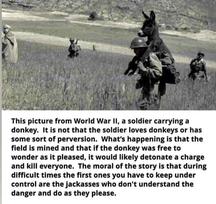 Carry a jackass you know on your back today!