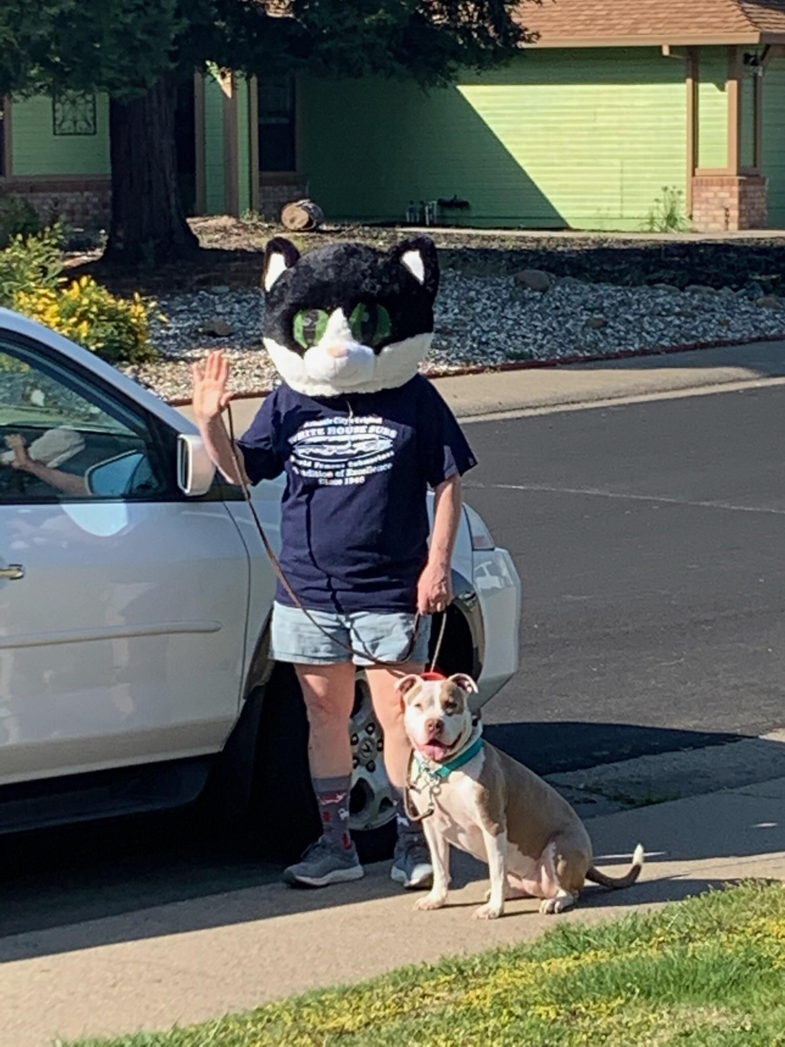 This person has been walking their dog the past few days in our neighborhood. Either he’s out of masks or he is just trying to give people a good laugh.