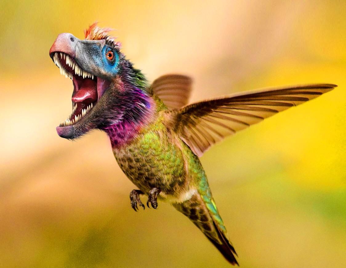 This “Hummingraptor” I photoshopped.