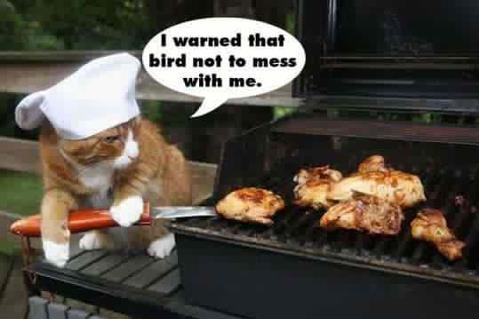 Stupid birdz