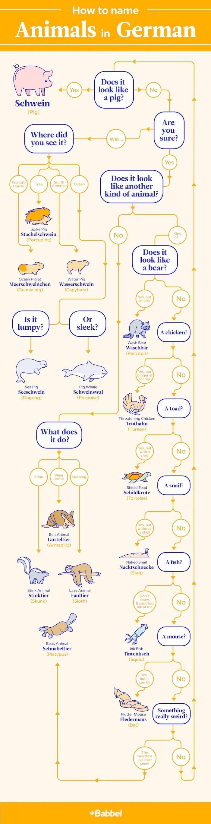 How to name animals in German