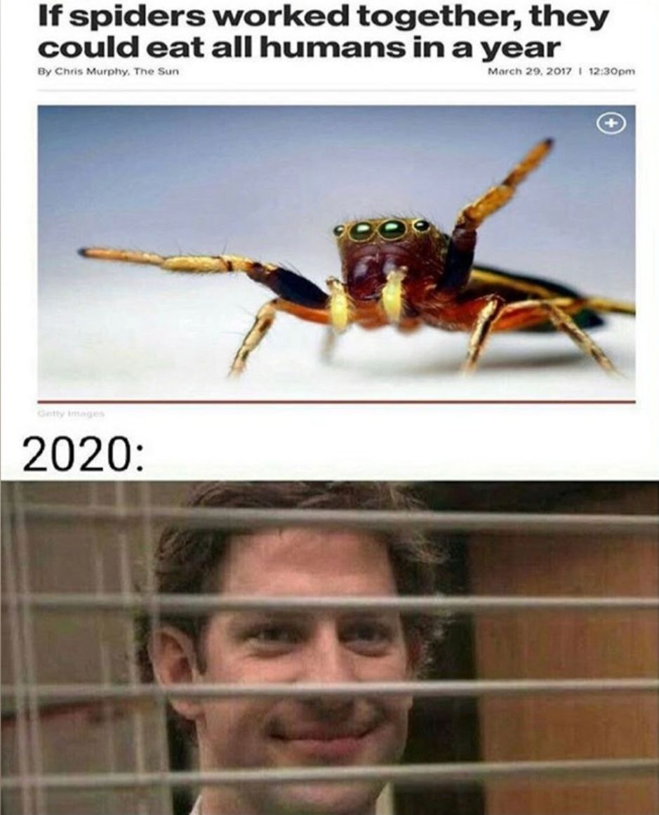 2020 has it coming, boys