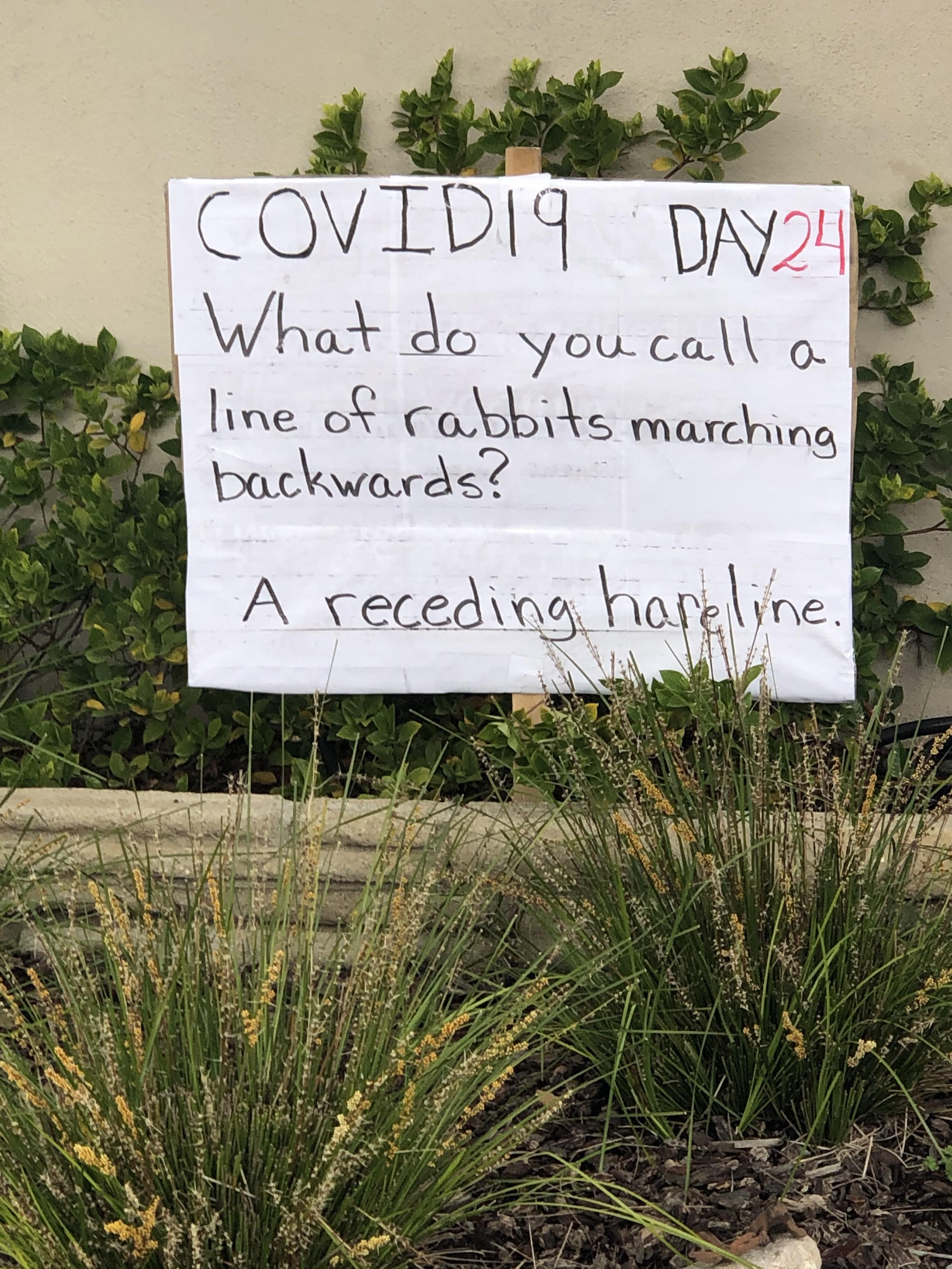 My neighbors front lawn dad joke #24