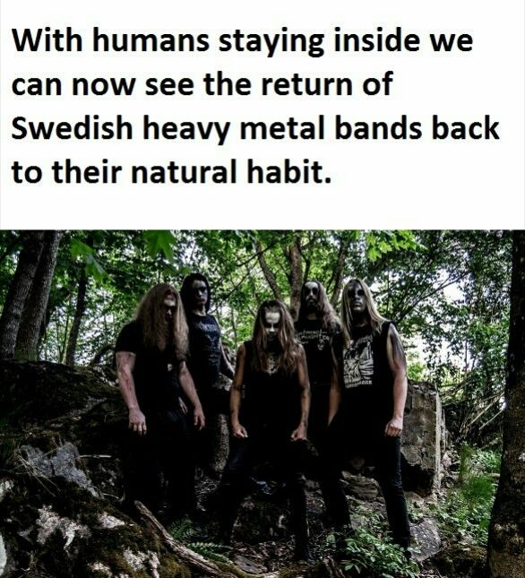 Looks more like Black Metal