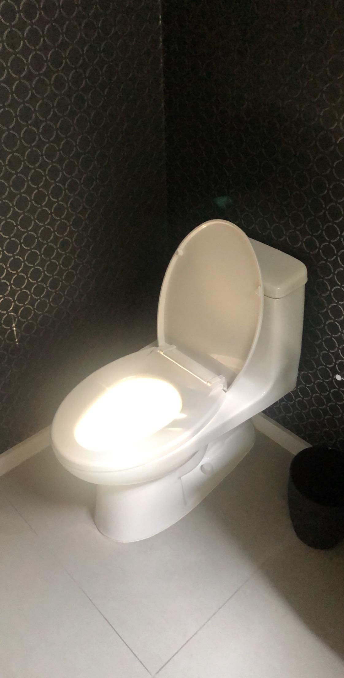 There’s a bathroom in my parent’s house that is lit by a single window and this is what happens every day.