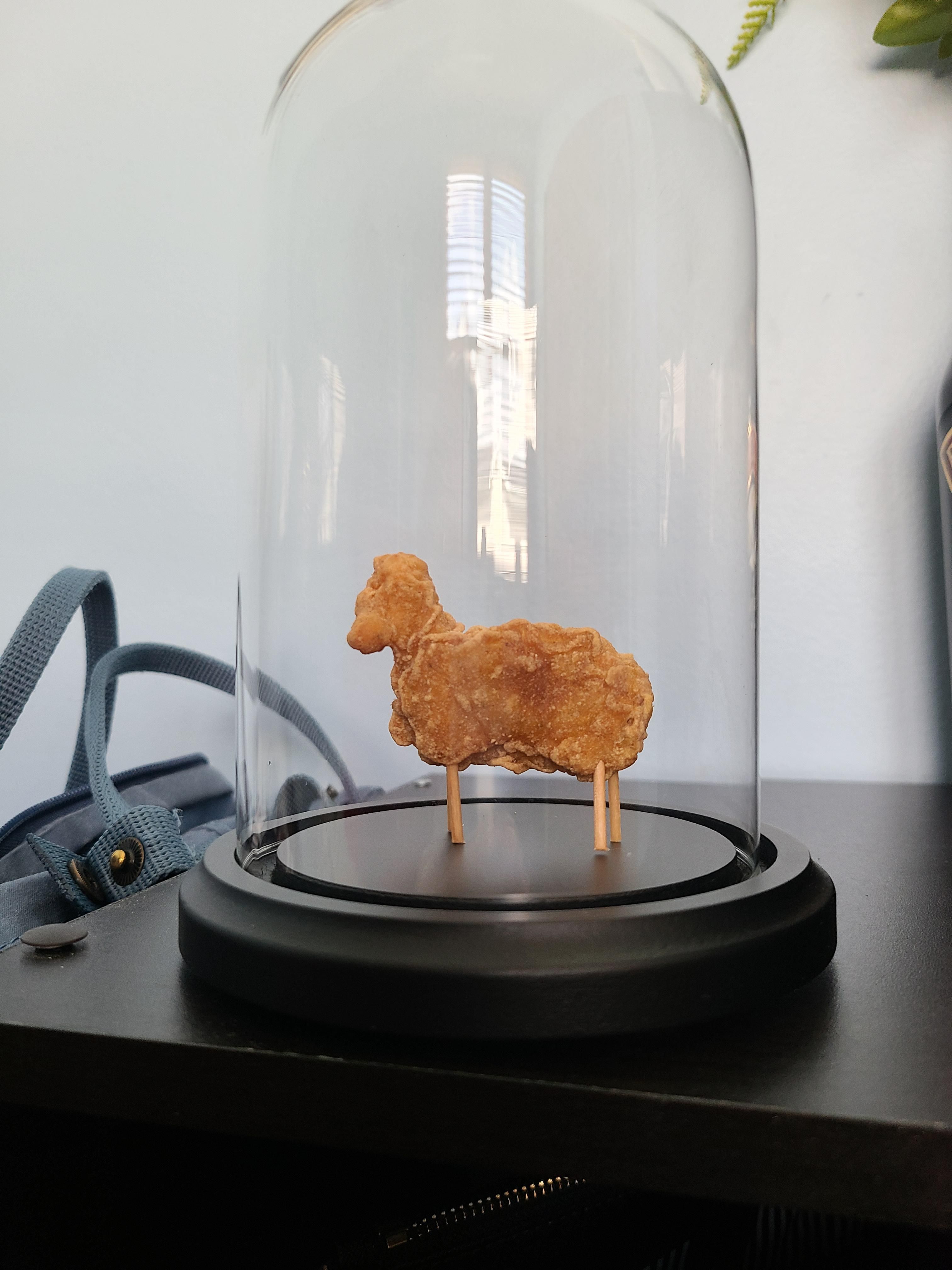 I'm the owner of the lamb chicken nugget and it now resides in its own display case