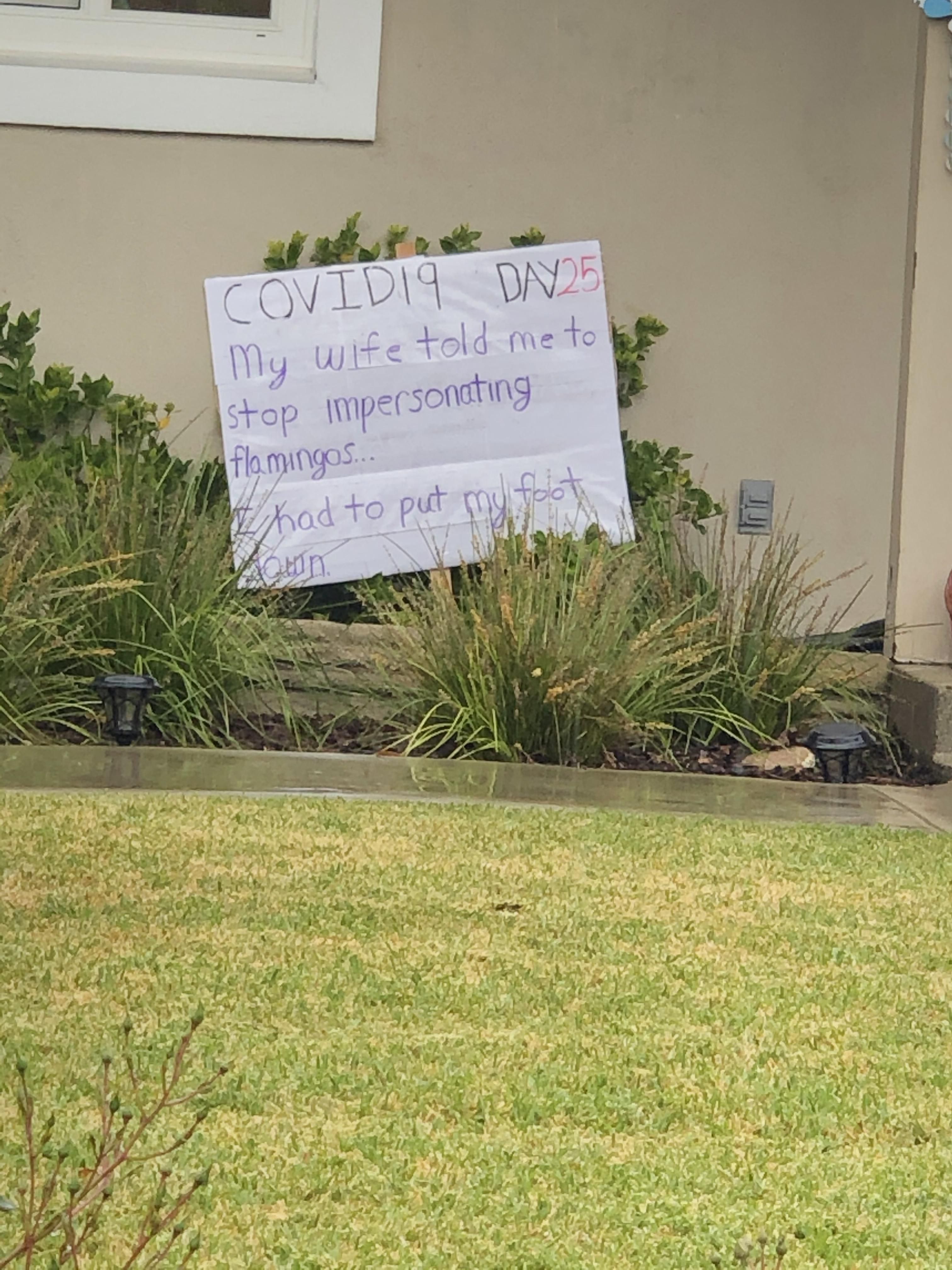 My neighbors front lawn dad joke #25