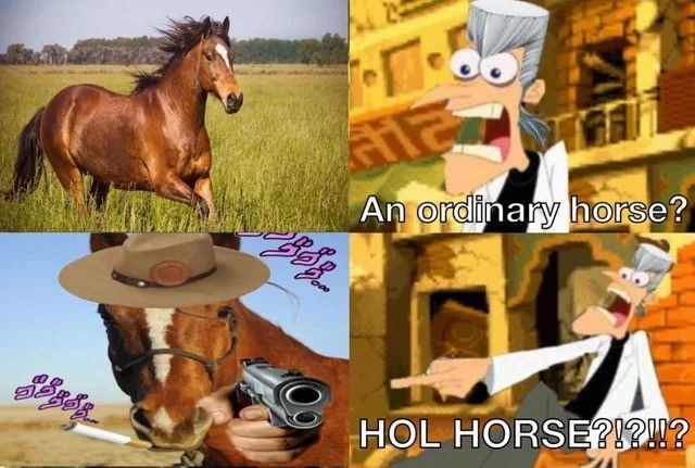 Bonjour Mr. Horse