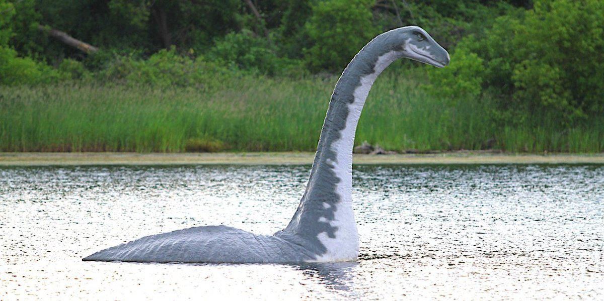 Due to less pollution in lockdown, the Loch Ness monster comes up for some fresh air.