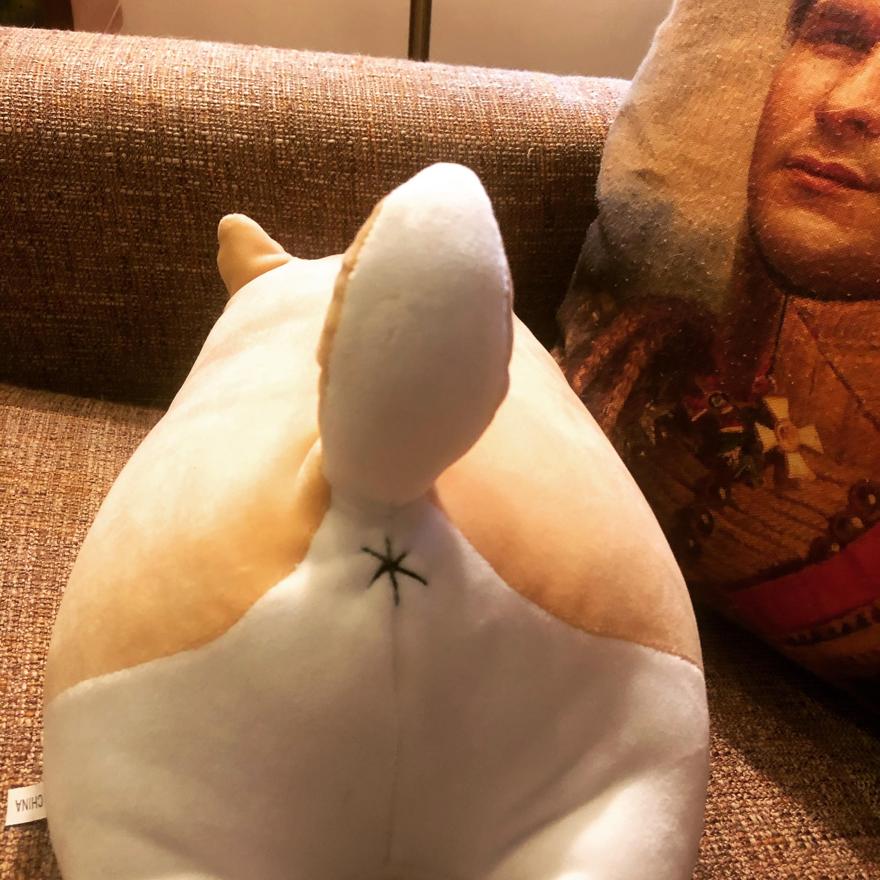 My kid asked for a stuffed Corgi for her birthday. It arrived with a butt-hole. Just thought you all should know.