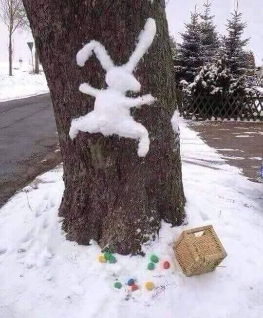 The Easter bunny