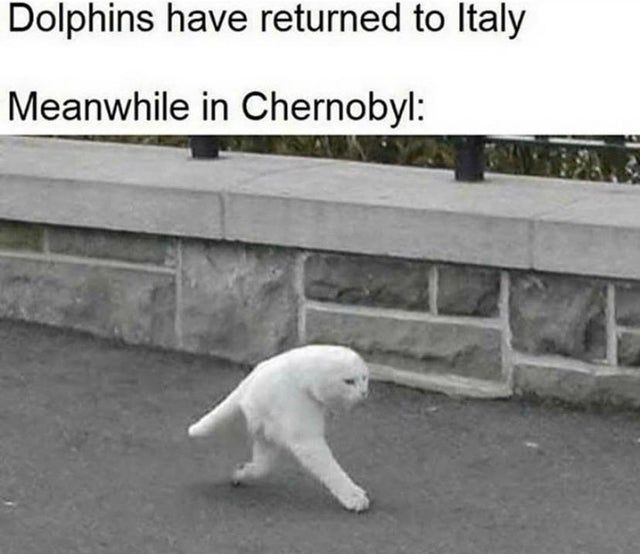 huh