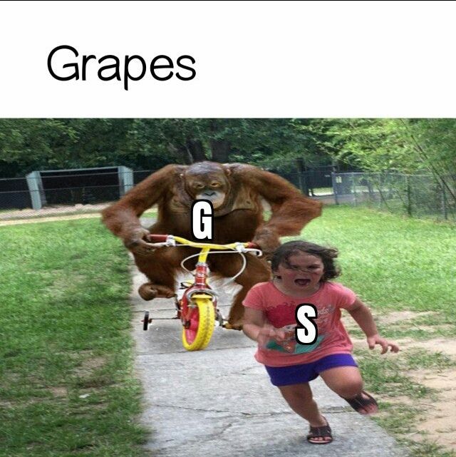 Oh no