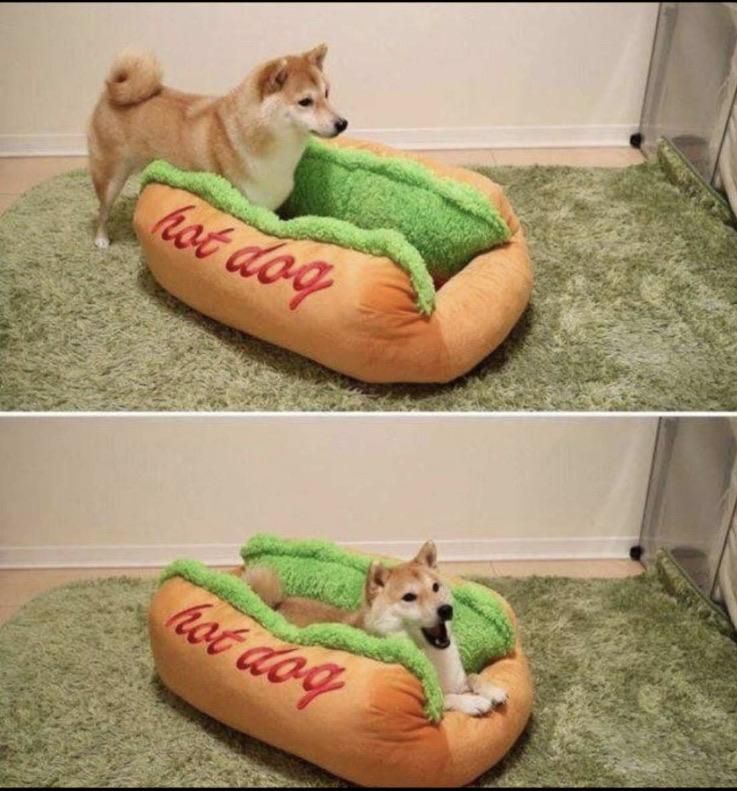 Thats one hot dog!