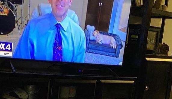 The weatherman’s dog has a small couch