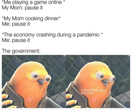 Once in a lifetime...