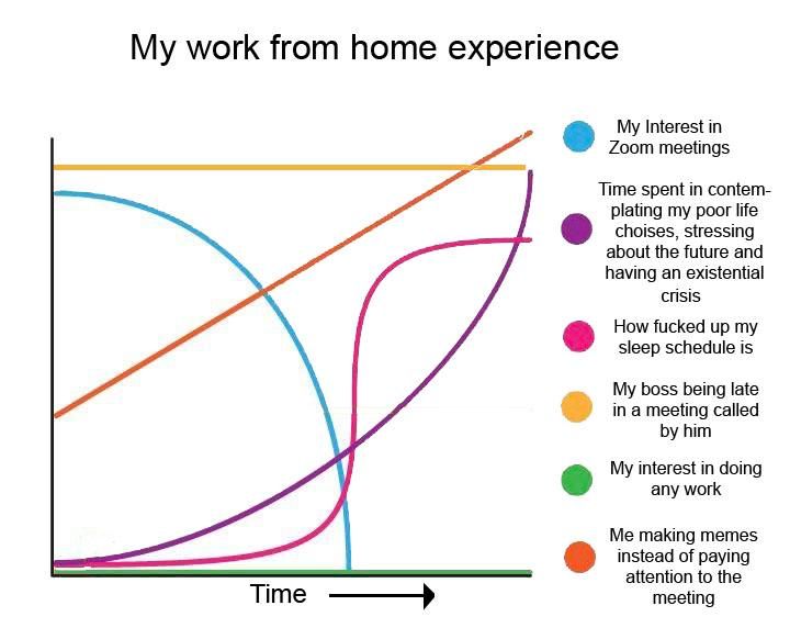 My "work from home" schedule